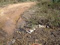 KTM,enduro,todo o terreno