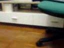 crazy-kitty.html