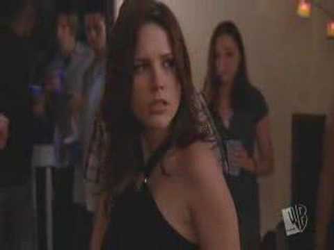 catfight haven