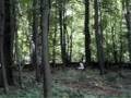 videos de Ein Tag in Hagerschlag - Odyssee