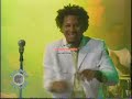 Kalimete DOMINICANO DE PURA CEPA En El Bonche de