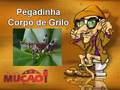 Pegadinha-do-Mu-o-Co