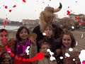 hendaiako gaztetxea