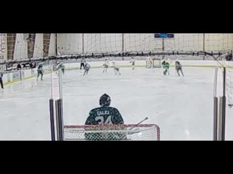 Trent Bisler D  Green #18 vs Edina MN 1/27/2007