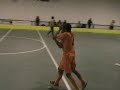 golo do ivo