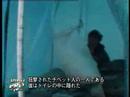 中国軍がチベットの巡礼者を無差別に撃ち殺す映像（非グロ/日本語字幕付）