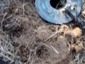 Metal Detecting OLd Schools.wmv