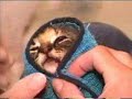 tabitha takes her yukky medicine.. tabitha takes her yukky medicine..