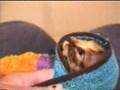 tabitha takes her yukky medicine..