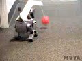 Fetch Aibo. Fetch.