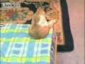 Obejrzyj materiał wideo
