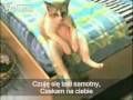 Obejrzyj materiał wideo