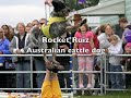 Extreme Canine Demonstration