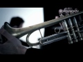 Raphael Gualazzi - Madness of Love (Italy 2011)
