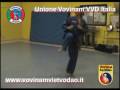 Vovinam Program, Tecniche Di Calcio - Đá - Kicking Techniques