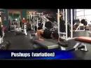 Free Weight Training Program