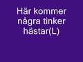 Tinker hästar
