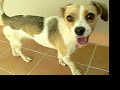 YouTubeサムネイル[tO4RsCAXhwI] - 2枚目