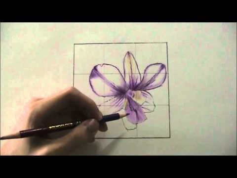 how to draw orchids