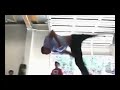 Best Stuntmans of 21st Century :: Cyril Raffaelli - Tony Jaa - Anis Cheurfa - Damien Walters - http://www.youtube.com/watch?v=zptd9ovOr7E&feature=related - http://www.youtube.com/watch?v=knVVy-96sMU - http://www.youtube.com/watch?v=tO5OMtmBcbk - http://www.youtube.com/watch?v=ZfKhCF6EYO0