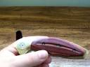 Knife Review : Buck Folding Kalinga Pro