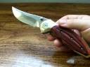 Knife-Review-Buck-Fo