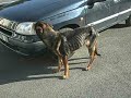 berg�re squelettique refuge (62) 3