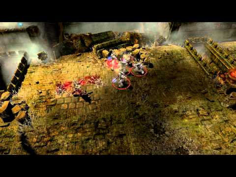 dawn of war dawn of war