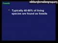 videos de Fish, Fossils and Evolution (3/7)