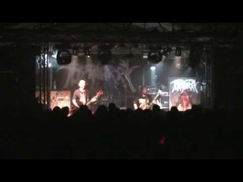 Youtube Video tO9Ea1hZF5E