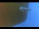 excelente video de apocalipsis. las malvinas son argentinas excelente video de apocalipsis. las malvinas son argentinas