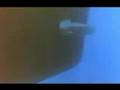 excelente video de apocalipsis. las malvinas son argentinas
