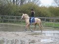 Ivy en ik