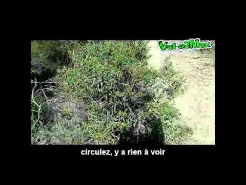 evans cycles evans cycles