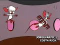 Pinky elmyra y cerebro - elmyra presidenta