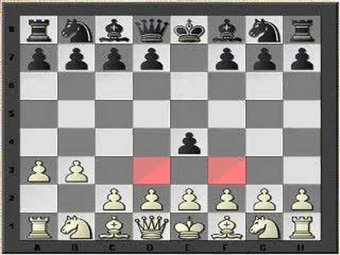 chess chess