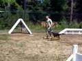 MWD Decoy