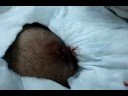 Boil Draining.wmv