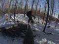 Lane's Edit