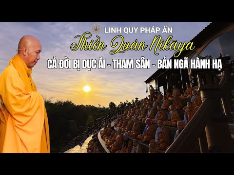 NIKAYA Thiền Quán - Cả Đời Bị Dục Ái - Tham Sân - Bản Ngã Hành Hạ