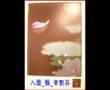全澳數碼攝影大賞Digital photography adward 06