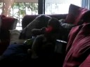 ricos hurt leg ricos hurt leg