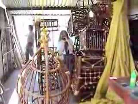 BOTA Mexico Tour 2004 - Bamboo ...