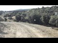 The Middle Atlas Mountains | Morocco's Forests ...
