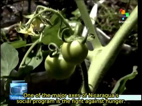 how to eliminate hunger