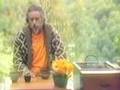 Alan Watts: A Conv... Alan Watts: A Conv...