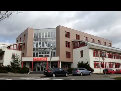 Jak sport pomáhá dětem s hendikepem