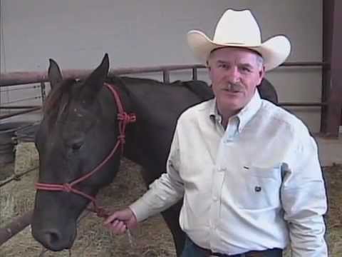 how to treat ulcers in horses