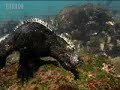 Galapagos: Swimming Iguanas