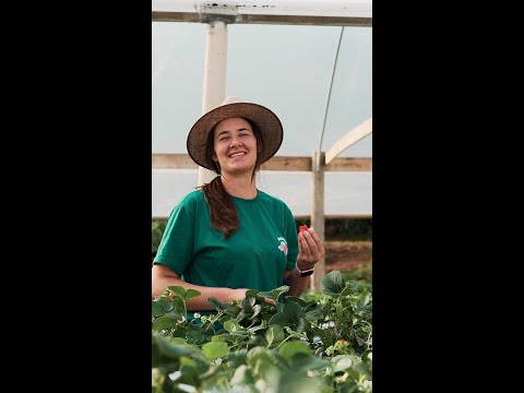 Juntas semeamos o amanhã - Maríndia Pegoraro